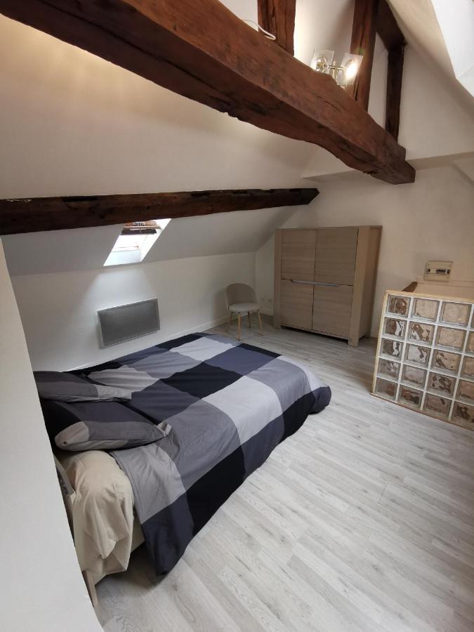 Appartement Hyper Centre Au Bord De Loire Orleans Exterior photo